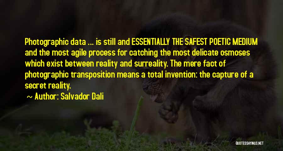 Agile Quotes By Salvador Dali