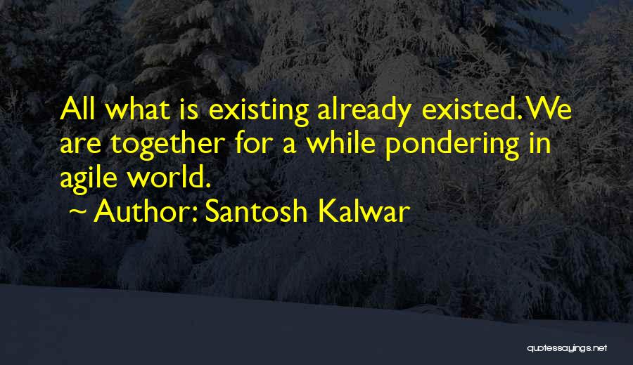 Agile Quotes By Santosh Kalwar