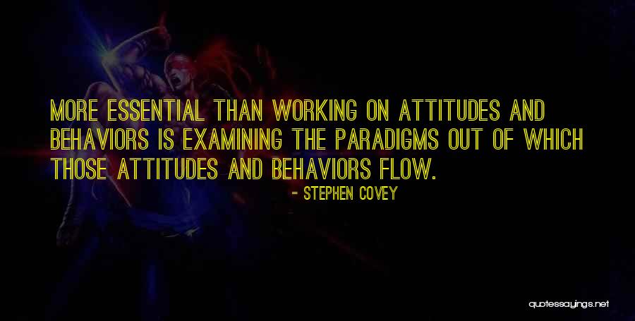 Agindo Dog Quotes By Stephen Covey Agindo Dog Quotes By Stephen Covey