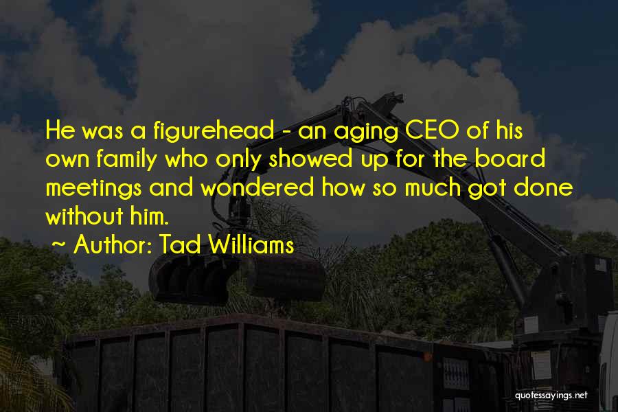Aging And Family Quotes By Tad Williams