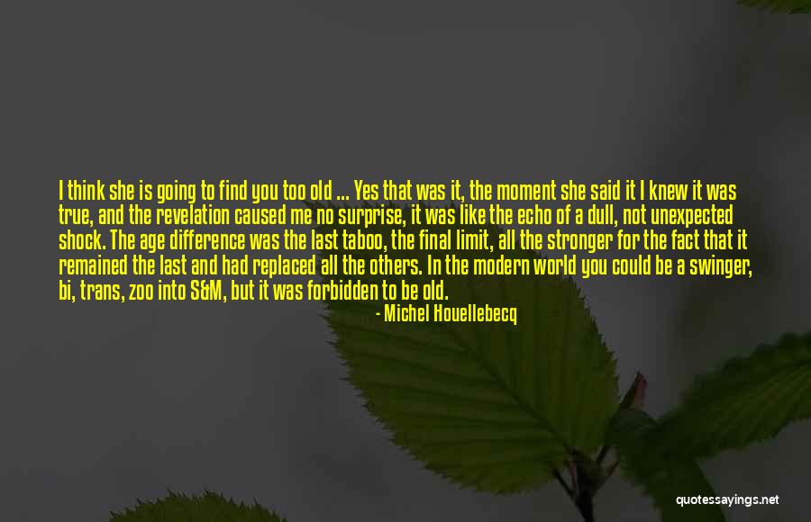 Aging And Old Age Quotes By Michel Houellebecq Aging And Old Age Quotes By Michel Houellebecq