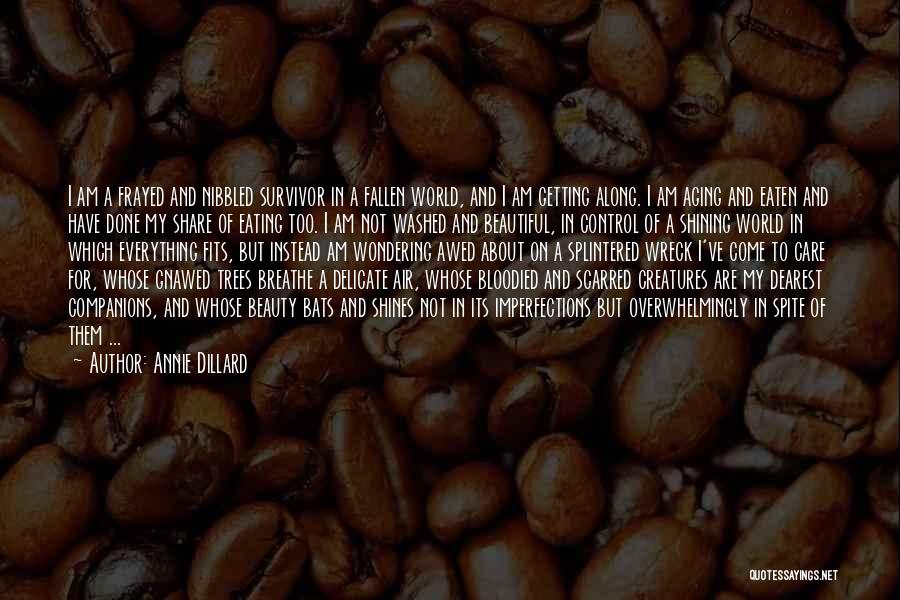 Aging Beauty Quotes By Annie Dillard