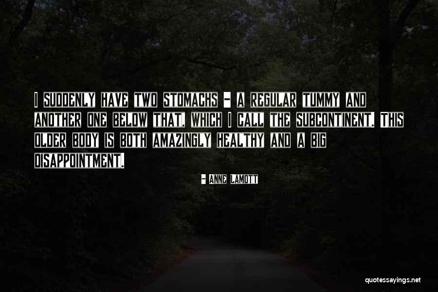Aging Healthy Quotes By Anne Lamott Aging Healthy Quotes By Anne Lamott