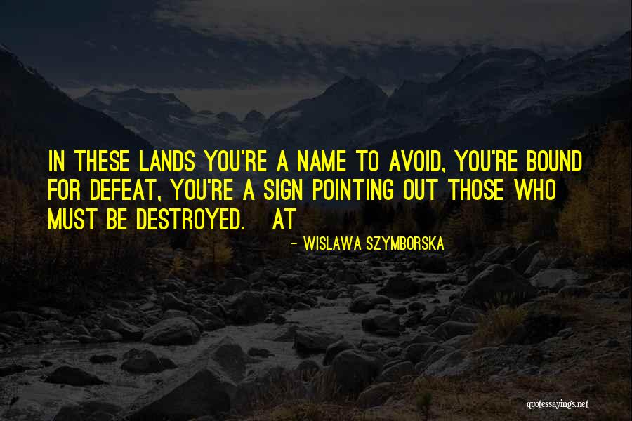 Agitabat Quotes By Wislawa Szymborska Agitabat Quotes By Wislawa Szymborska