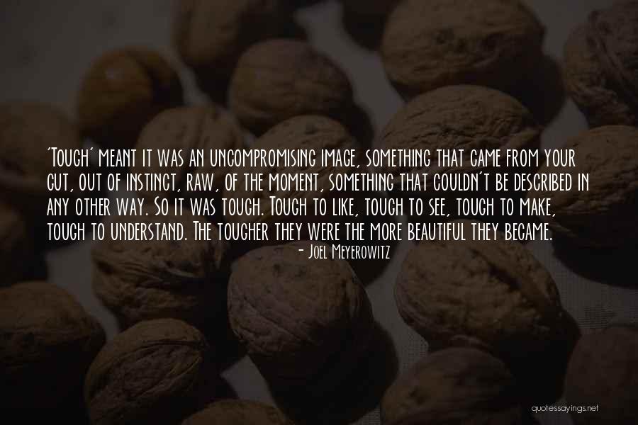 Agitando Quotes By Joel Meyerowitz Agitando Quotes By Joel Meyerowitz