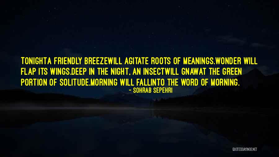 Agitate Quotes By Sohrab Sepehri Agitate Quotes By Sohrab Sepehri