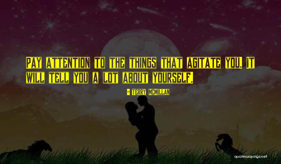 Agitate Quotes By Terry McMillan Agitate Quotes By Terry McMillan