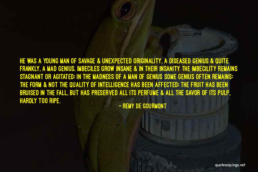 Agitated Quotes By Remy De Gourmont Agitated Quotes By Remy De Gourmont