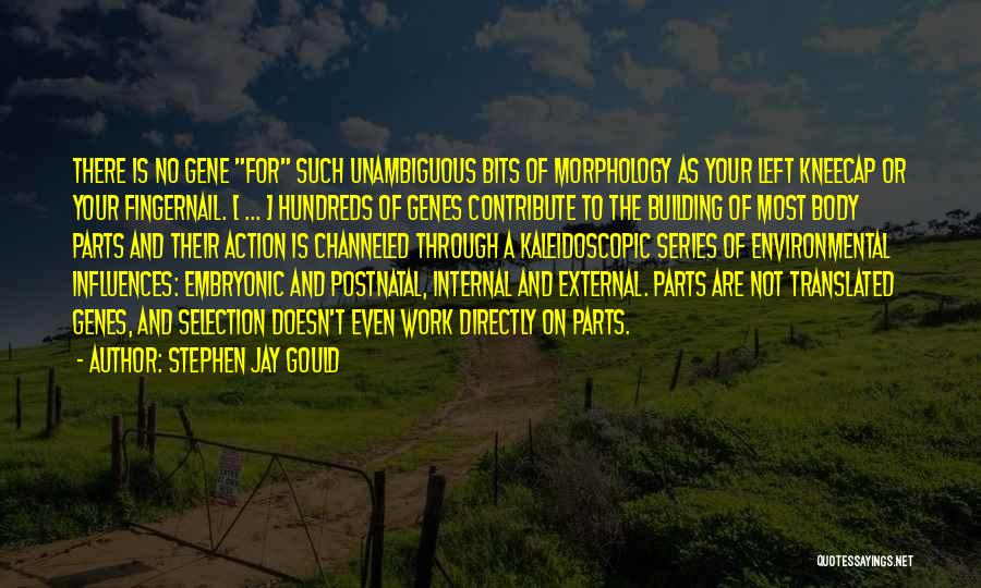 Agley Quotes By Stephen Jay Gould