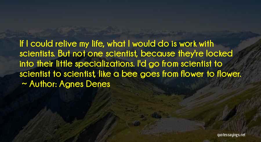 Agnes Denes Quotes 1232372