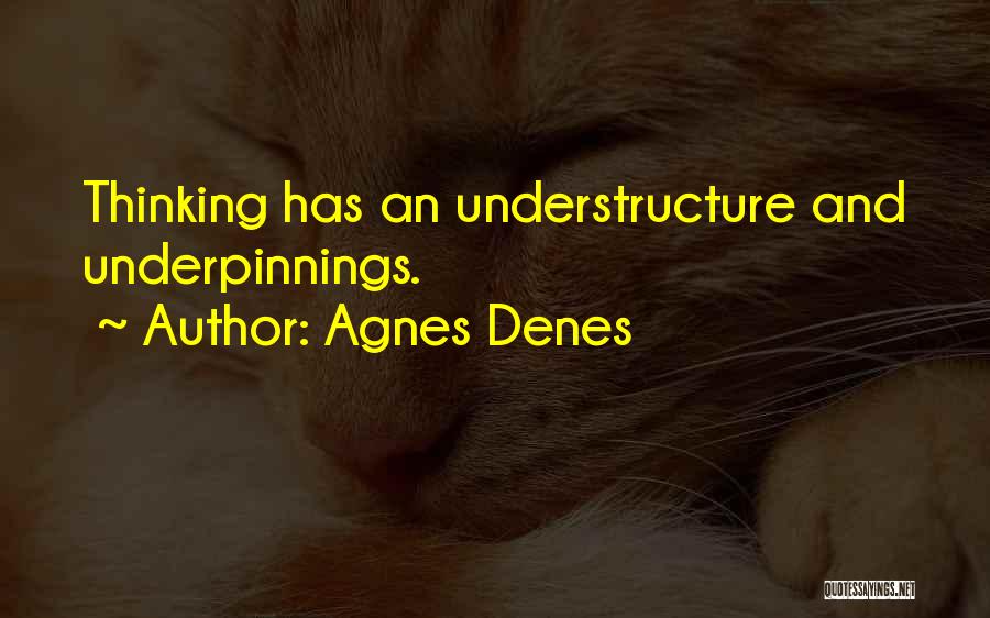 Agnes Denes Quotes 403526