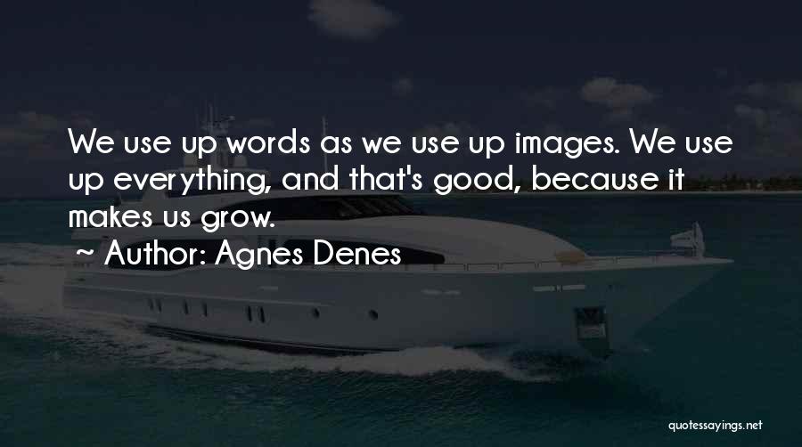 Agnes Denes Quotes 953237