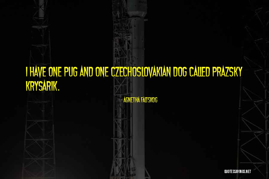 Agnetha Faltskog Quotes 489349 Agnetha Faltskog Quotes 489349