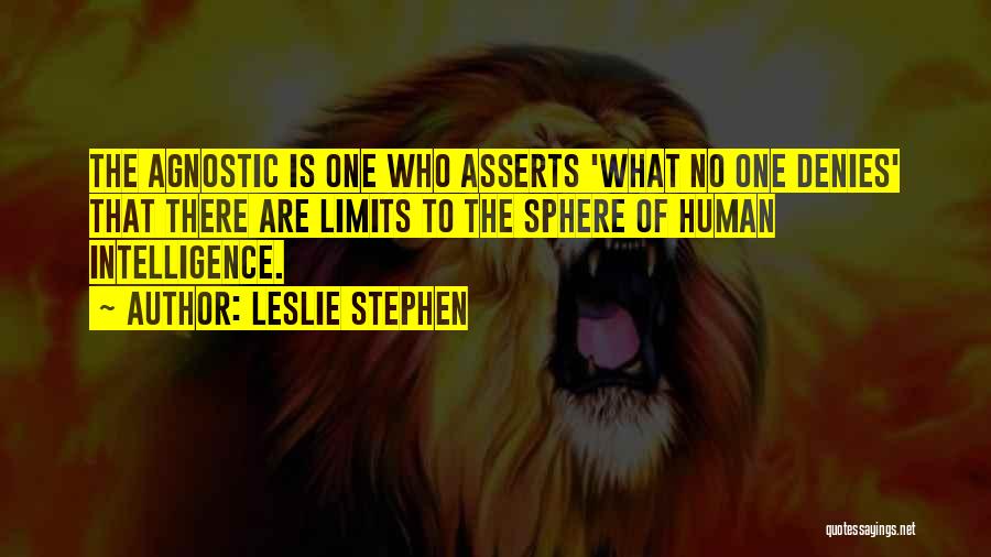 Agnostic Quotes By Leslie Stephen