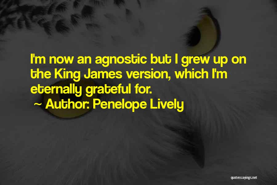 Agnostic Quotes By Penelope Lively