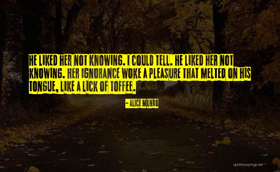 Agobiados Quotes By Alice Munro
