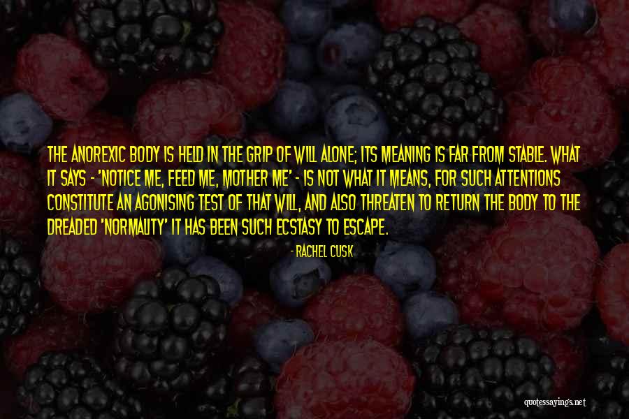 Agonising Quotes By Rachel Cusk Agonising Quotes By Rachel Cusk