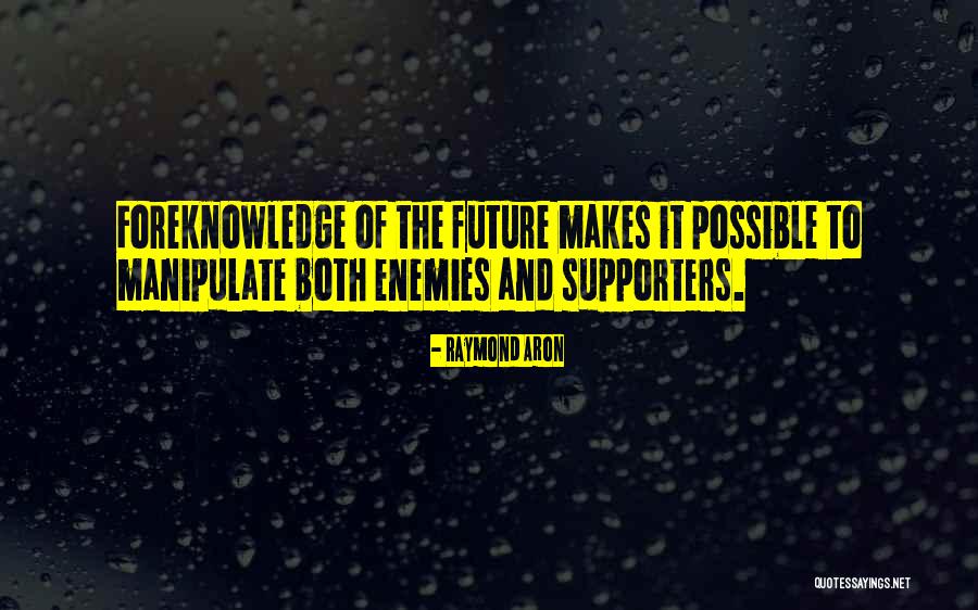 Agonizar Quotes By Raymond Aron Agonizar Quotes By Raymond Aron