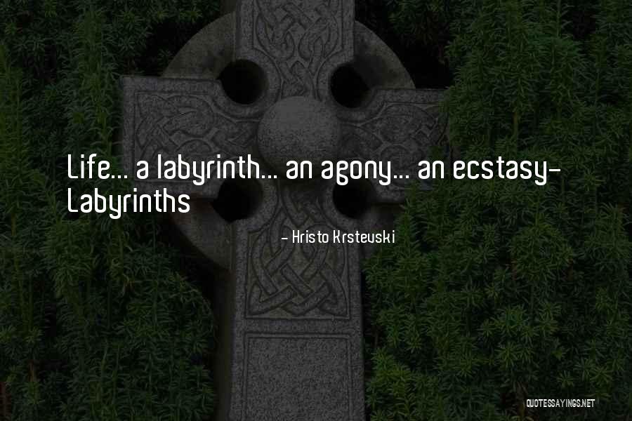 Agony And Ecstasy Quotes By Hristo Krstevski