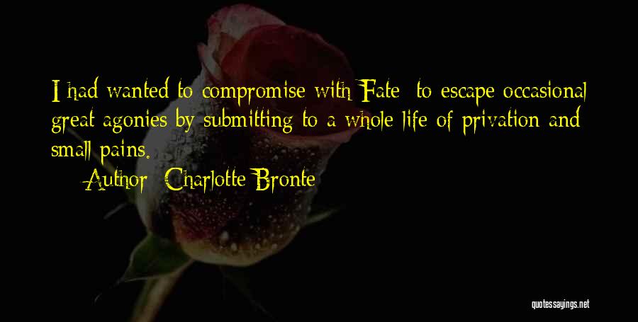 Agony Of Life Quotes By Charlotte Bronte
