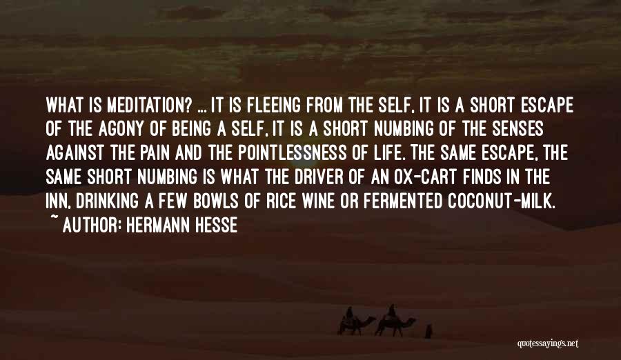 Agony Of Life Quotes By Hermann Hesse