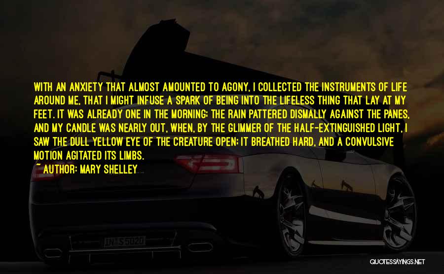 Agony Of Life Quotes By Mary Shelley