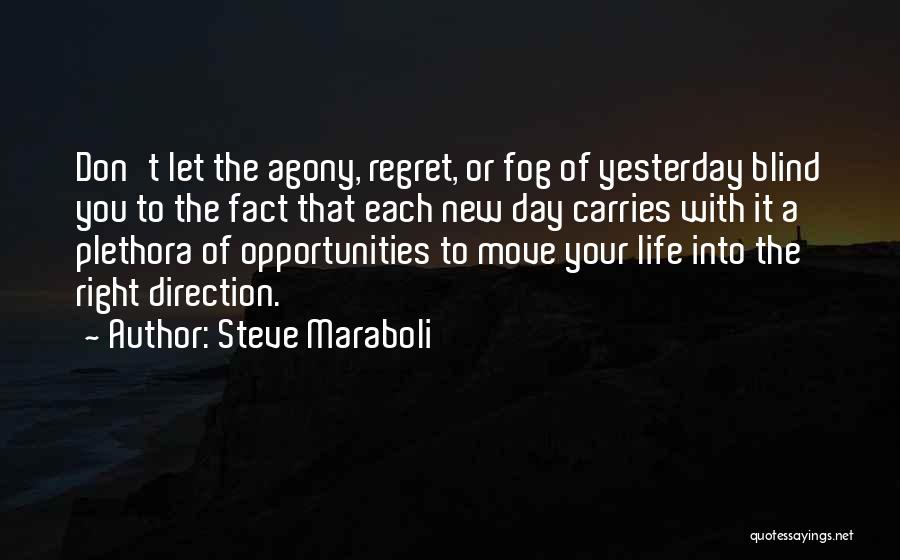 Agony Of Life Quotes By Steve Maraboli