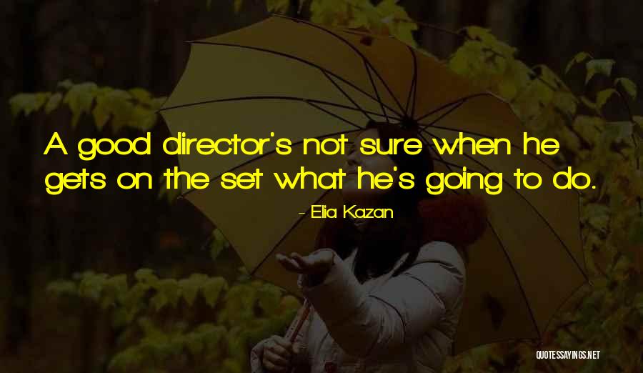 Agostinho Silva Quotes By Elia Kazan Agostinho Silva Quotes By Elia Kazan