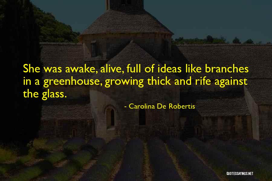 Agosto Mes Quotes By Carolina De Robertis Agosto Mes Quotes By Carolina De Robertis