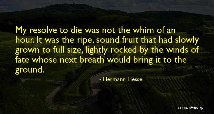 Agradecidos Miel Quotes By Hermann Hesse Agradecidos Miel Quotes By Hermann Hesse