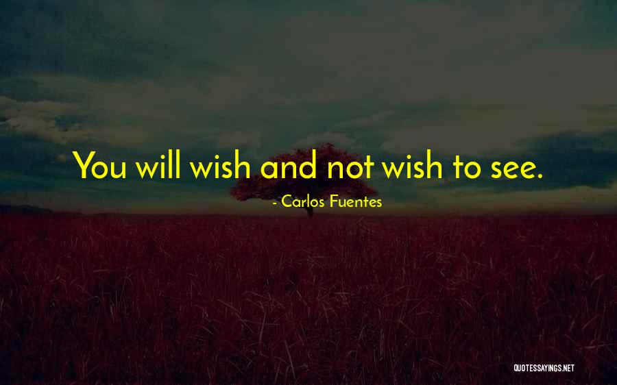 Agradecimentos Tese Quotes By Carlos Fuentes Agradecimentos Tese Quotes By Carlos Fuentes