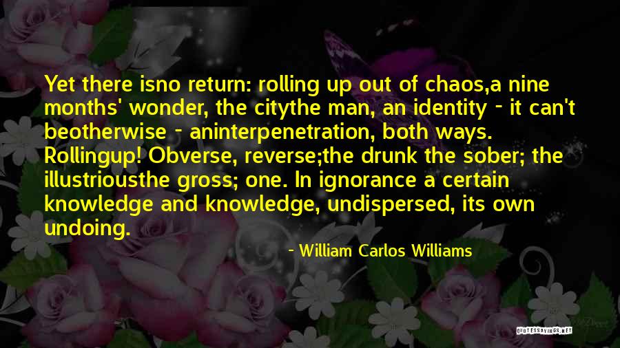 Agravada Quotes By William Carlos Williams Agravada Quotes By William Carlos Williams