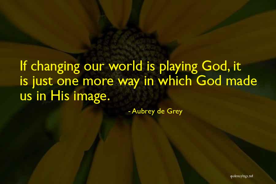 Agreda Abogado Quotes By Aubrey De Grey Agreda Abogado Quotes By Aubrey De Grey