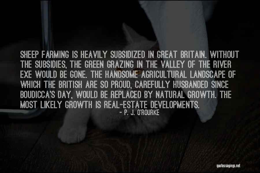 Agricultural Subsidies Quotes By P. J. O'Rourke Agricultural Subsidies Quotes By P. J. O'Rourke