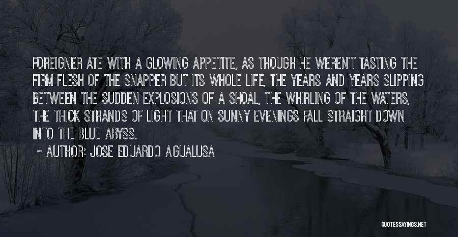 Agualusa Quotes By Jose Eduardo Agualusa