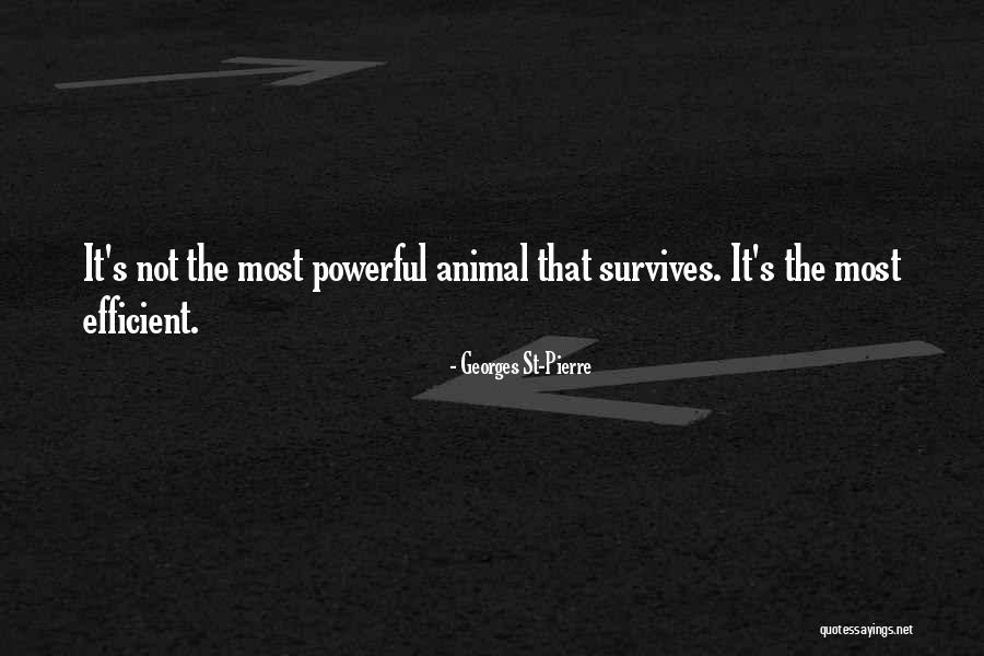 Agudos Dolores Quotes By Georges St-Pierre Agudos Dolores Quotes By Georges St-Pierre