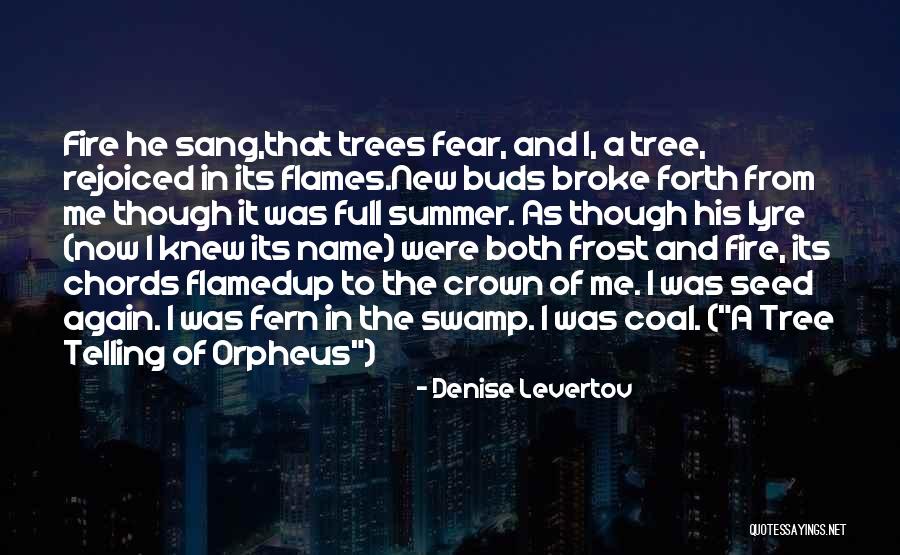 Agueda Cardenas Quotes By Denise Levertov Agueda Cardenas Quotes By Denise Levertov