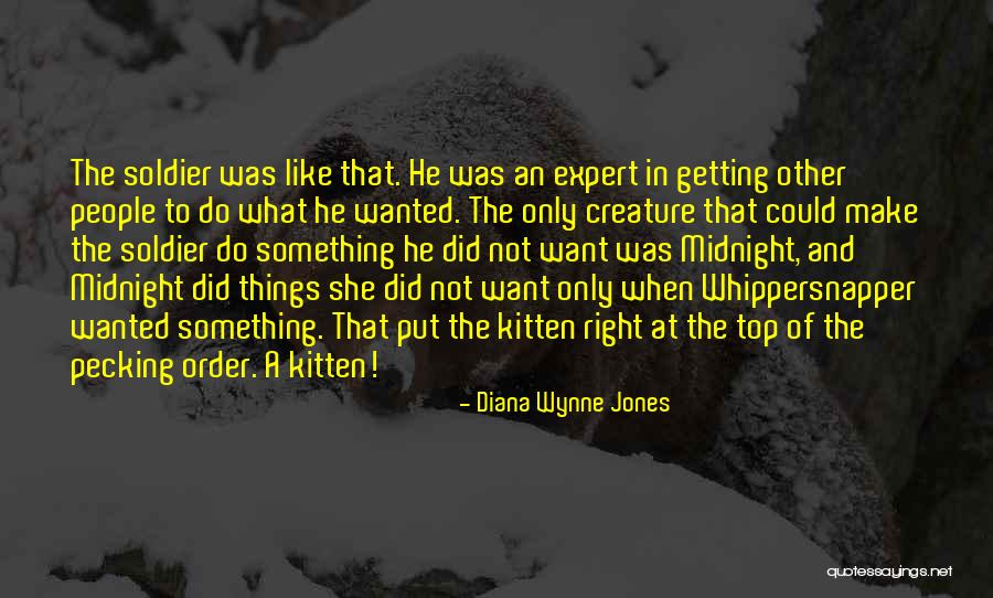 Aguilera Pics Quotes By Diana Wynne Jones