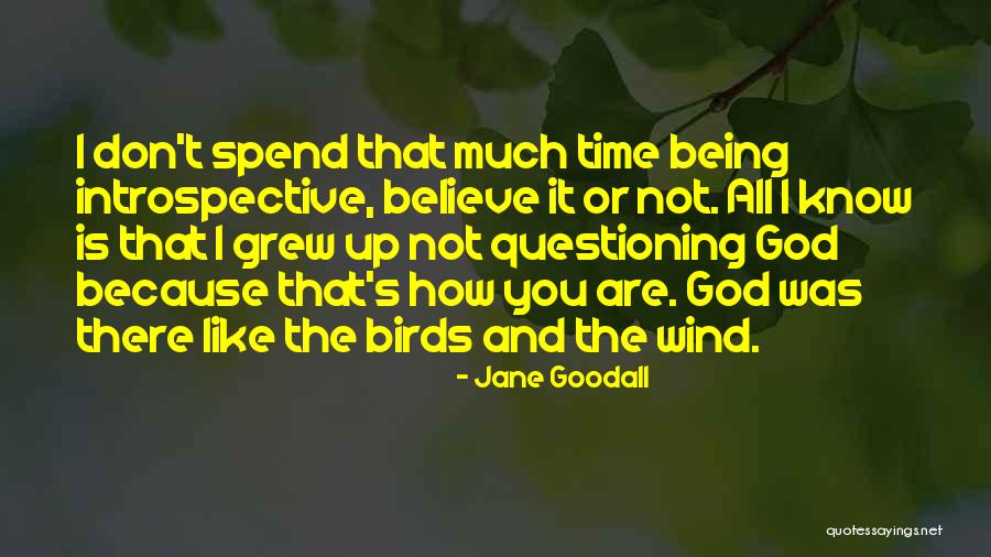 Aguiluzalberto Quotes By Jane Goodall Aguiluzalberto Quotes By Jane Goodall