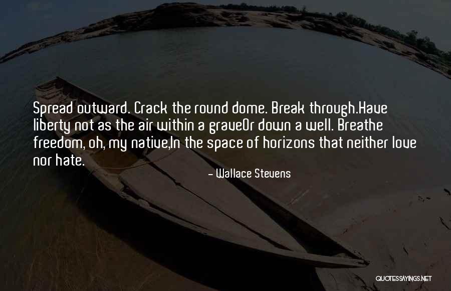 Aguja Hipodermica Quotes By Wallace Stevens Aguja Hipodermica Quotes By Wallace Stevens