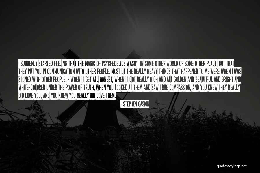 Agujaceratops Quotes By Stephen Gaskin Agujaceratops Quotes By Stephen Gaskin