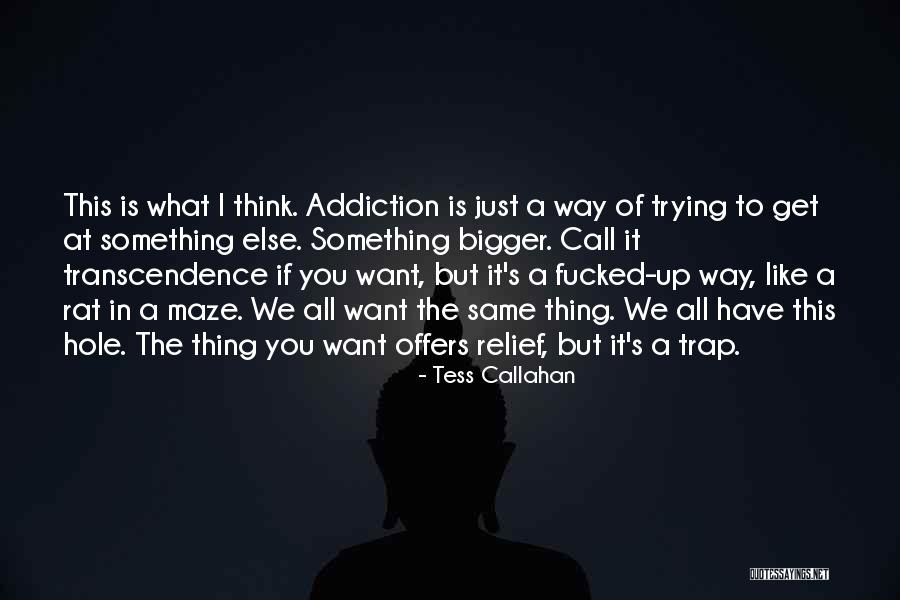 Agyeiwaa Quotes By Tess Callahan Agyeiwaa Quotes By Tess Callahan