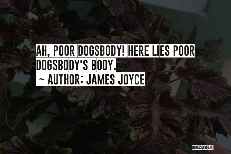 Ah Q Quotes By James Joyce