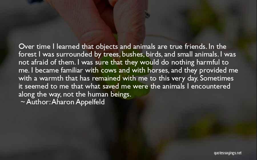 Aharon Appelfeld Quotes 672174