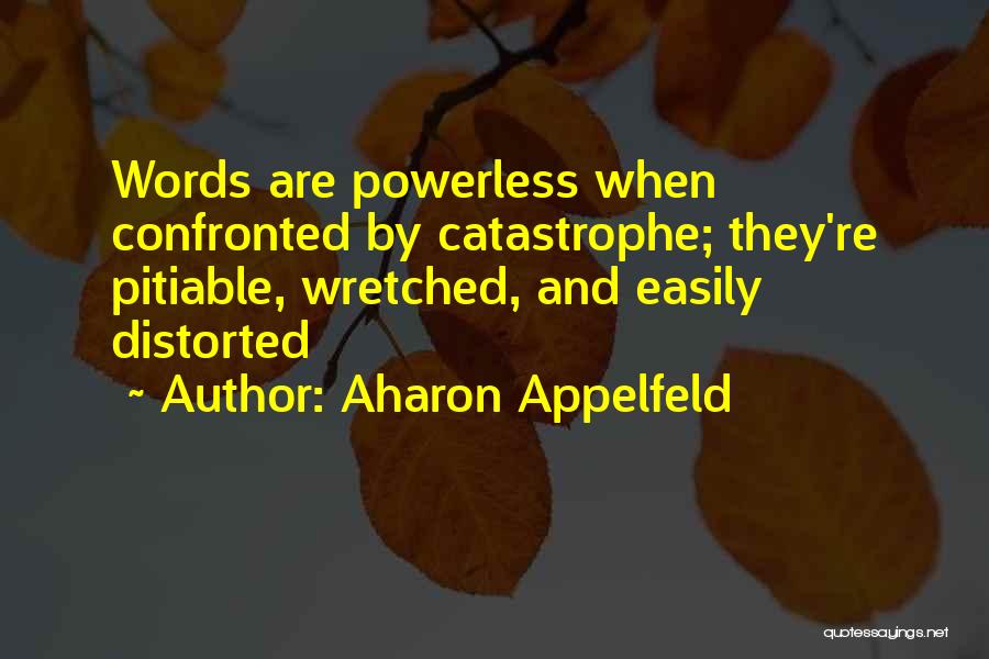 Aharon Appelfeld Quotes 733083