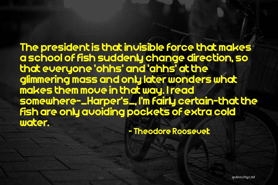 Ahhs School Quotes By Theodore Roosevelt Ahhs School Quotes By Theodore Roosevelt