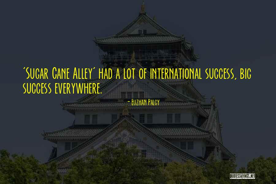 Ahlmann As210 Quotes By Euzhan Palcy Ahlmann As210 Quotes By Euzhan Palcy