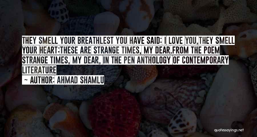 Ahmad Shamlu Quotes 1763312