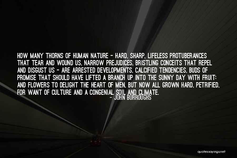 Ahmadinejad Nearly Shot Quotes By John Burroughs Ahmadinejad Nearly Shot Quotes By John Burroughs