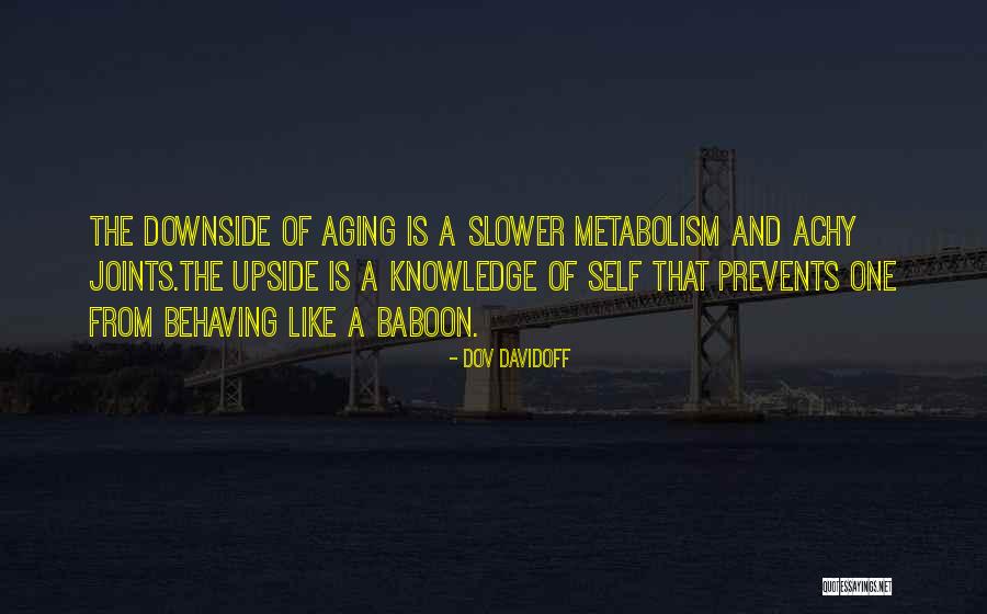 Ahmadzai Song Quotes By Dov Davidoff Ahmadzai Song Quotes By Dov Davidoff